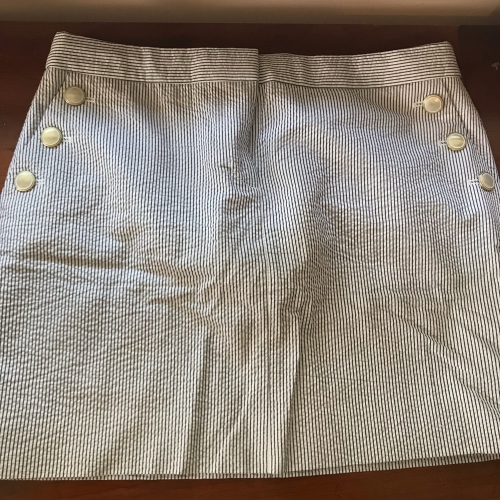 J. Crew Navy and White Striped Skirt